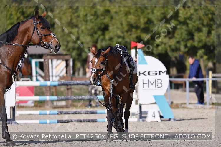 A kép az eredeti csökkentett reprezentációja