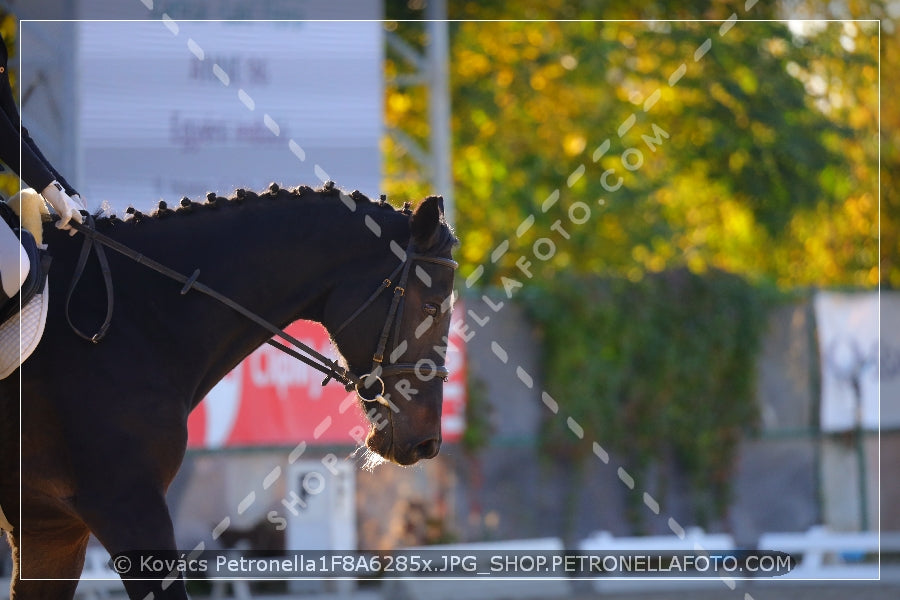 A kép az eredeti csökkentett reprezentációja