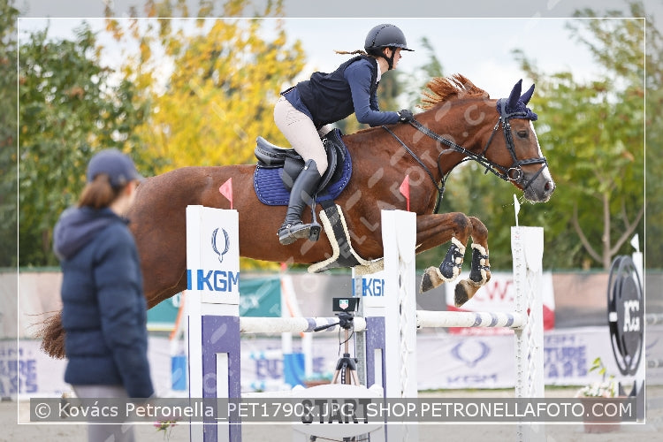 A kép az eredeti csökkentett reprezentációja