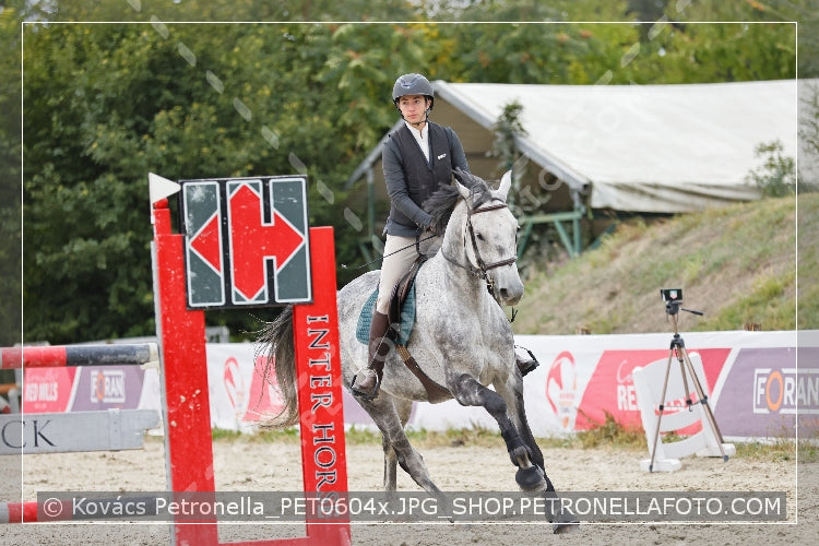 A kép az eredeti csökkentett reprezentációja