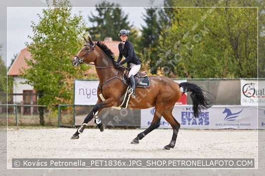 A kép az eredeti csökkentett reprezentációja
