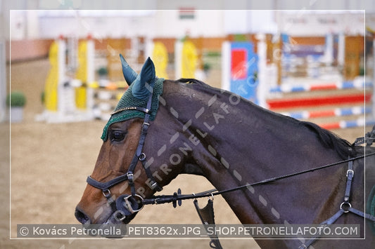 A kép az eredeti csökkentett reprezentációja