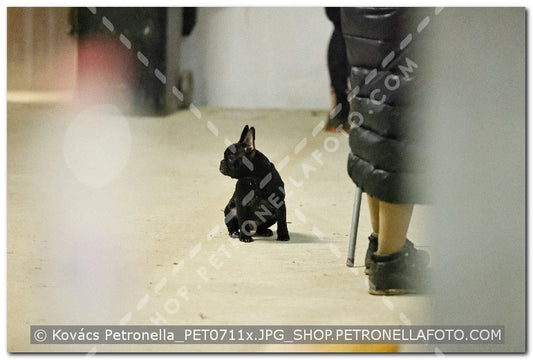 A kép az eredeti csökkentett reprezentációja