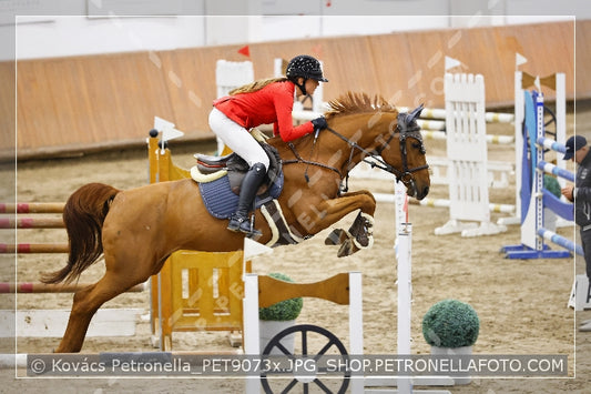 A kép az eredeti csökkentett reprezentációja
