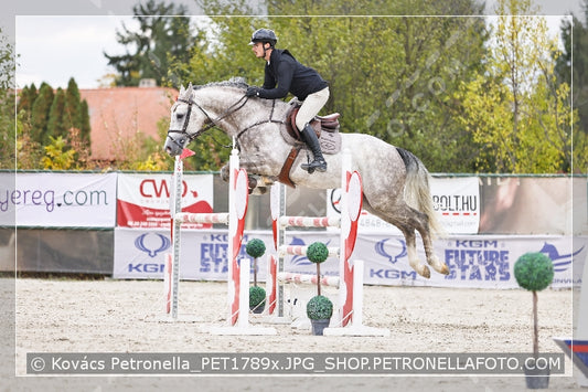 A kép az eredeti csökkentett reprezentációja