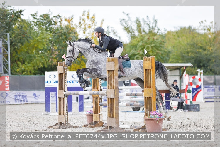 A kép az eredeti csökkentett reprezentációja