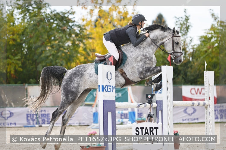 A kép az eredeti csökkentett reprezentációja