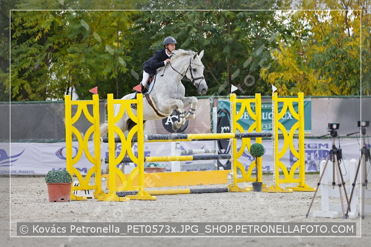A kép az eredeti csökkentett reprezentációja