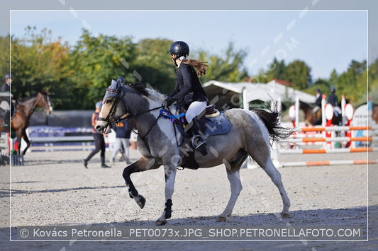 A kép az eredeti csökkentett reprezentációja