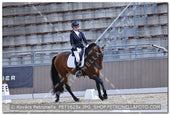 A kép az eredeti csökkentett reprezentációja