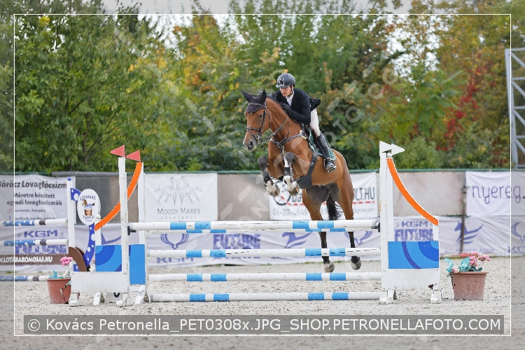 A kép az eredeti csökkentett reprezentációja