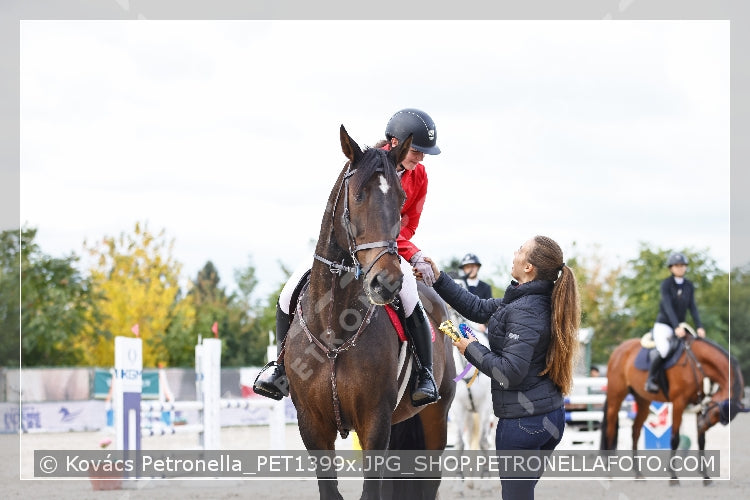 A kép az eredeti csökkentett reprezentációja