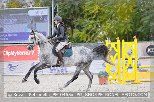 A kép az eredeti csökkentett reprezentációja