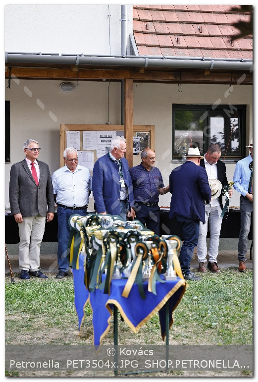 A kép az eredeti csökkentett reprezentációja