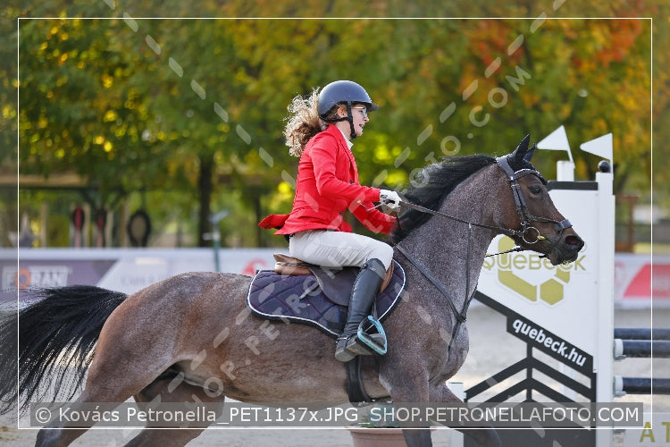 A kép az eredeti csökkentett reprezentációja