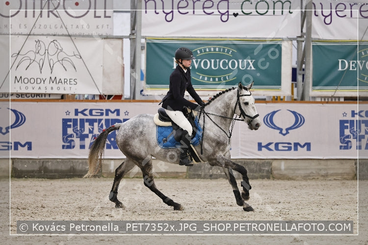 A kép az eredeti csökkentett reprezentációja