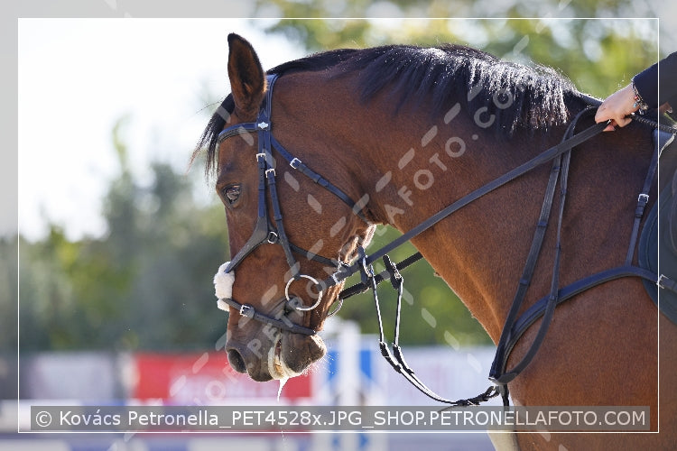 A kép az eredeti csökkentett reprezentációja