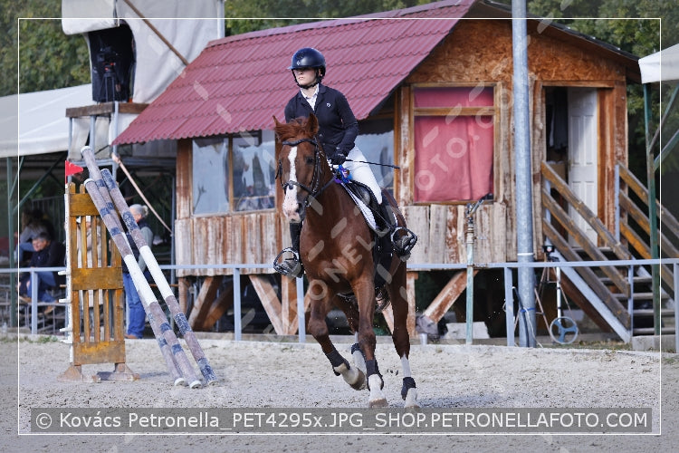 A kép az eredeti csökkentett reprezentációja