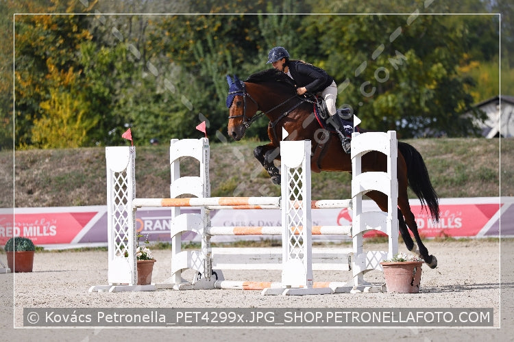 A kép az eredeti csökkentett reprezentációja