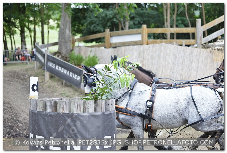 A kép az eredeti csökkentett reprezentációja