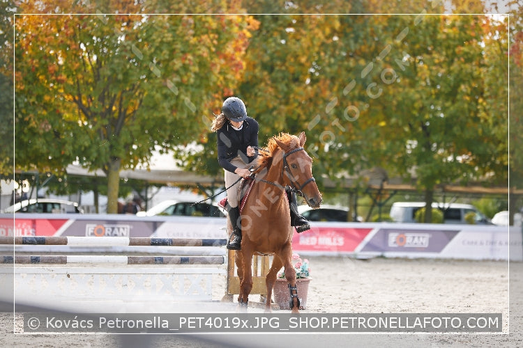 A kép az eredeti csökkentett reprezentációja