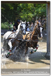 A kép az eredeti csökkentett reprezentációja