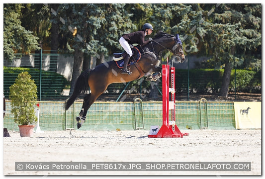A kép az eredeti csökkentett reprezentációja