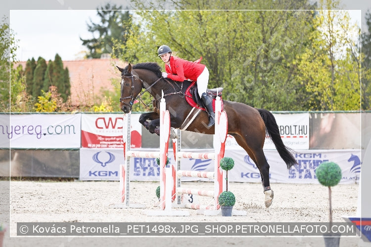 A kép az eredeti csökkentett reprezentációja