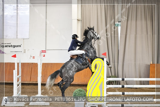 A kép az eredeti csökkentett reprezentációja