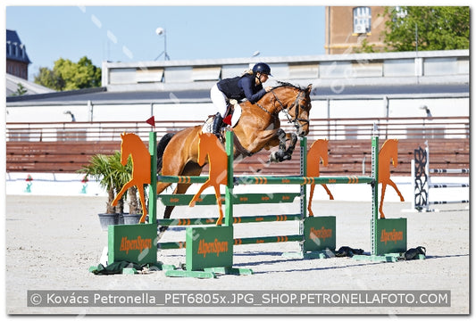 A kép az eredeti csökkentett reprezentációja
