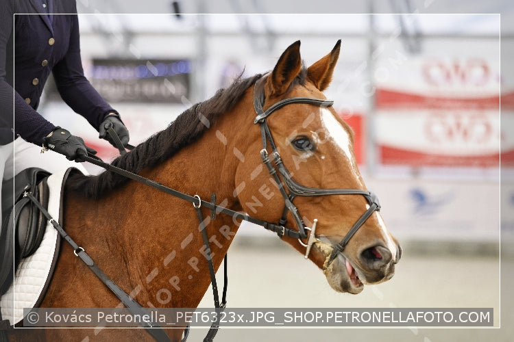 A kép az eredeti csökkentett reprezentációja