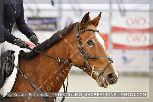 A kép az eredeti csökkentett reprezentációja