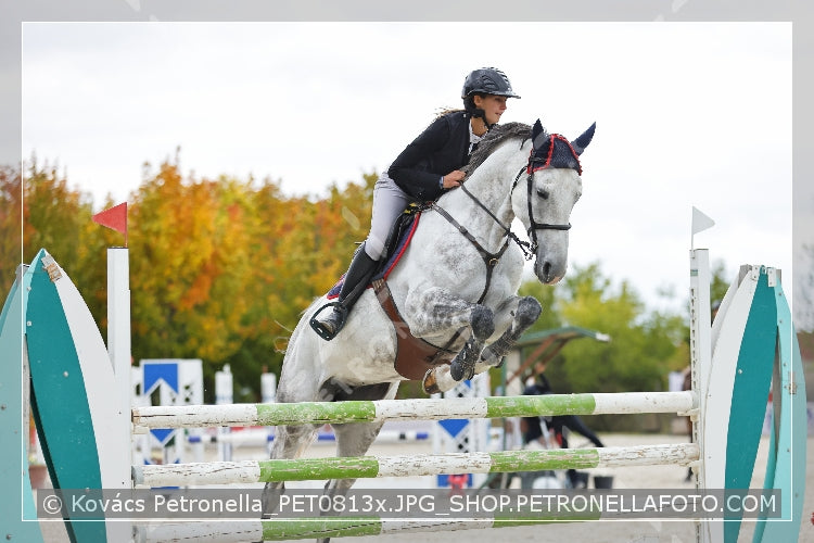 A kép az eredeti csökkentett reprezentációja