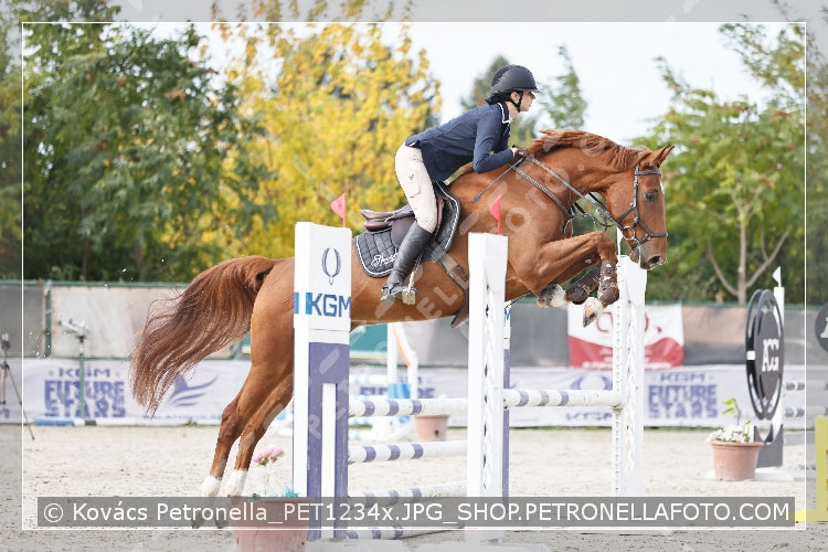 A kép az eredeti csökkentett reprezentációja