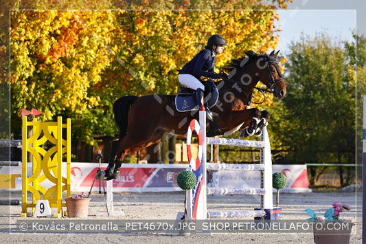 A kép az eredeti csökkentett reprezentációja