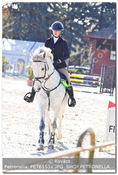 A kép az eredeti csökkentett reprezentációja