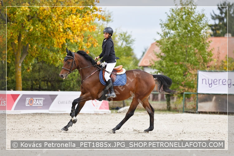 A kép az eredeti csökkentett reprezentációja
