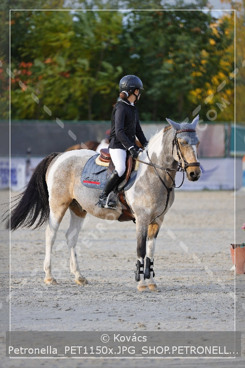 A kép az eredeti csökkentett reprezentációja