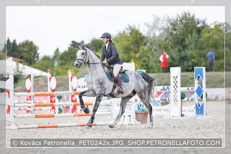 A kép az eredeti csökkentett reprezentációja
