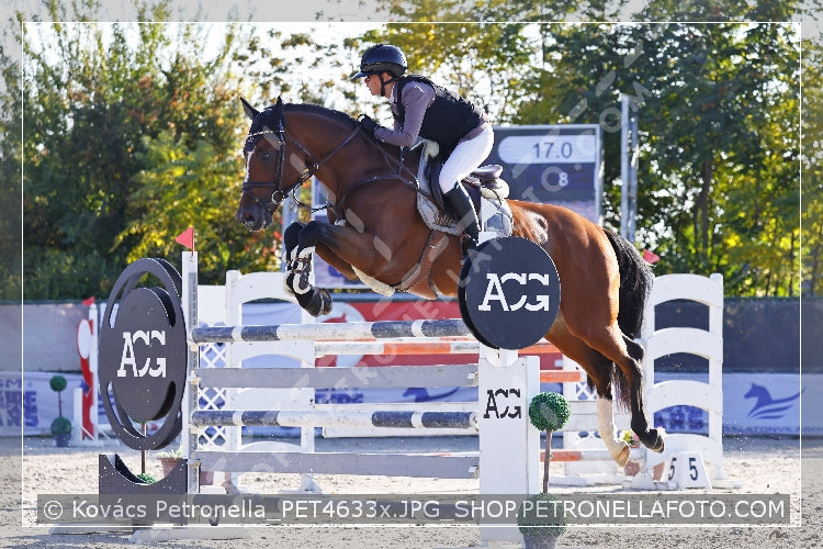 A kép az eredeti csökkentett reprezentációja