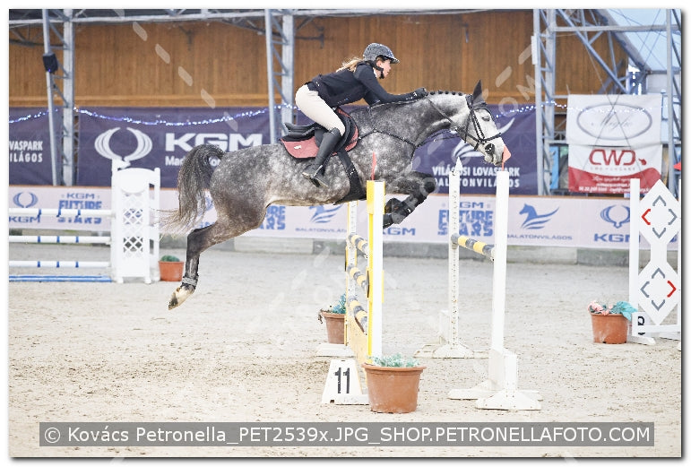 A kép az eredeti csökkentett reprezentációja