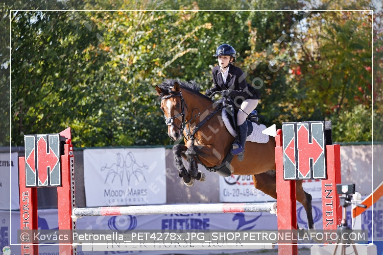 A kép az eredeti csökkentett reprezentációja