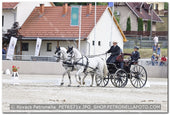 A kép az eredeti csökkentett reprezentációja