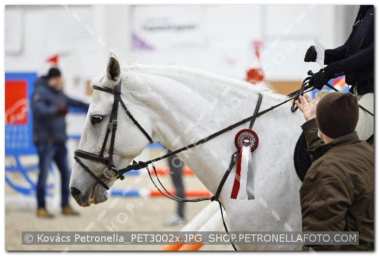A kép az eredeti csökkentett reprezentációja