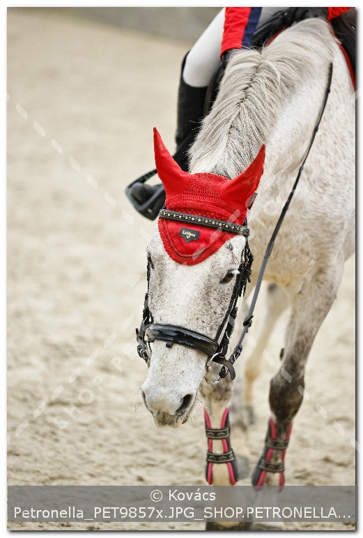 A kép az eredeti csökkentett reprezentációja