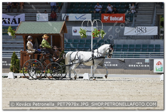 A kép az eredeti csökkentett reprezentációja