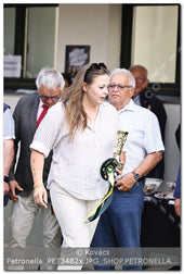A kép az eredeti csökkentett reprezentációja