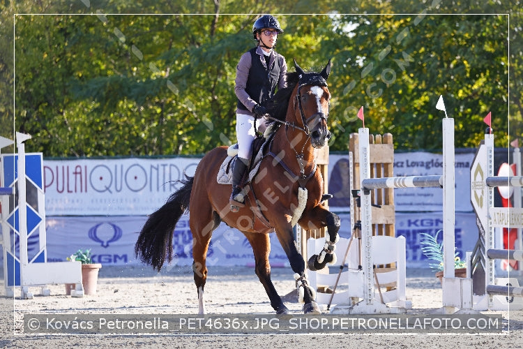 A kép az eredeti csökkentett reprezentációja