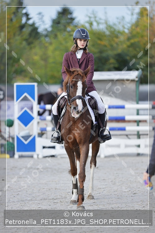 A kép az eredeti csökkentett reprezentációja