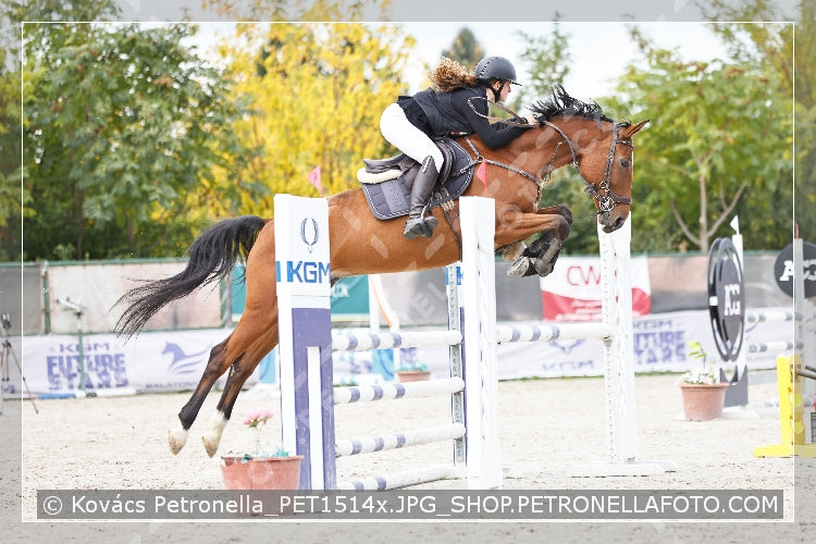 A kép az eredeti csökkentett reprezentációja